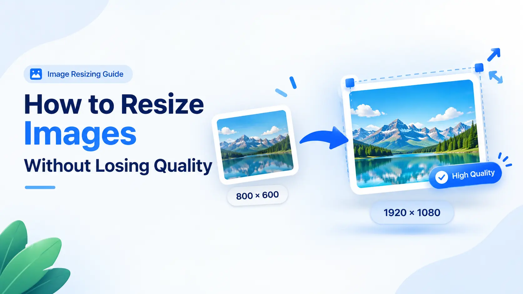 Before and after image resize comparison
